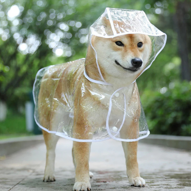Capa de Chuva Pet Transparente com Capuz – Proteção Elegante para Passeios Seguros