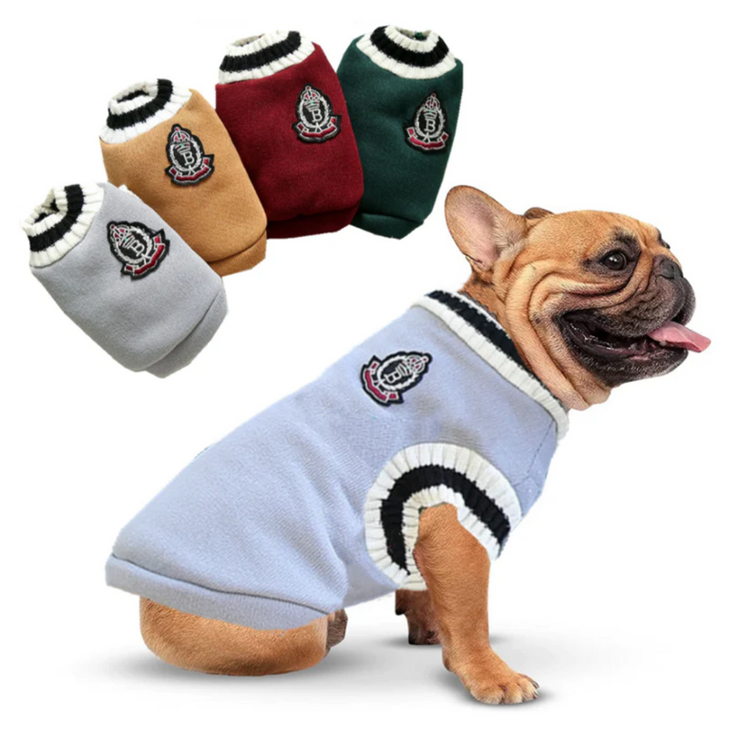 Suéter Universitário Britânico para Cães: Conforto e Estilo em Cada Passeio
