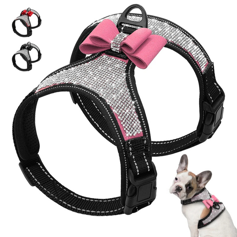 Peitoral Elegante com Glitter e Strass para Cachorros