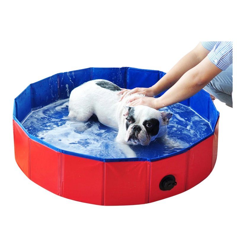 Banheira Dobrável para Cachorros: Conforto e Diversão em Qualquer Lugar