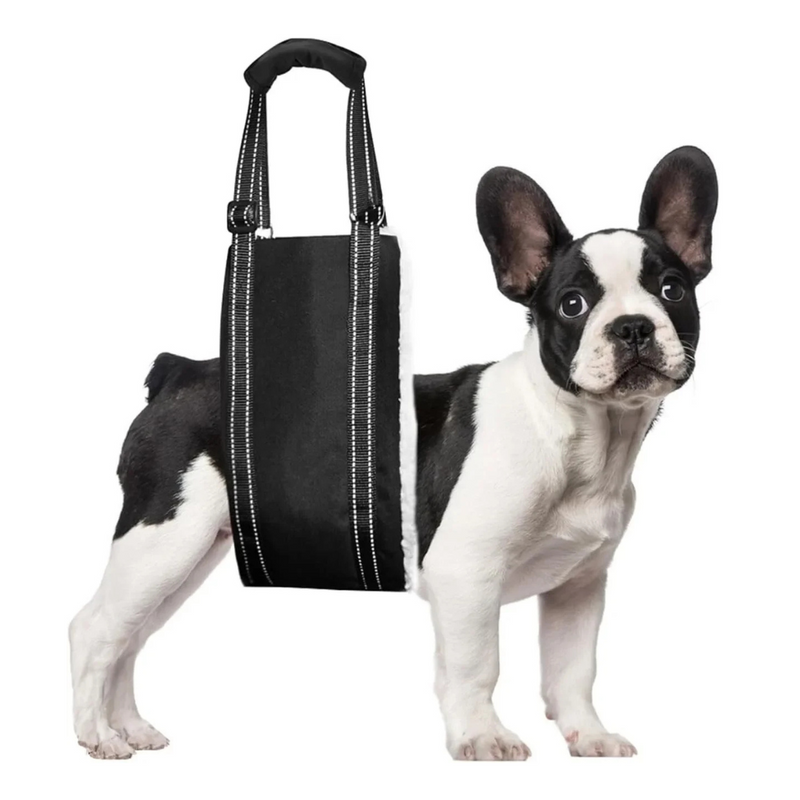 Cinta Elevatória Ajustável para Patas Traseiras: Suporte Confortável para a Reabilitação de Cães Idosos