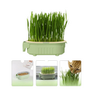 Vasinho de Cultivo Hidropônico para Gatos - Traga Verde e Alegria ao Seu Lar