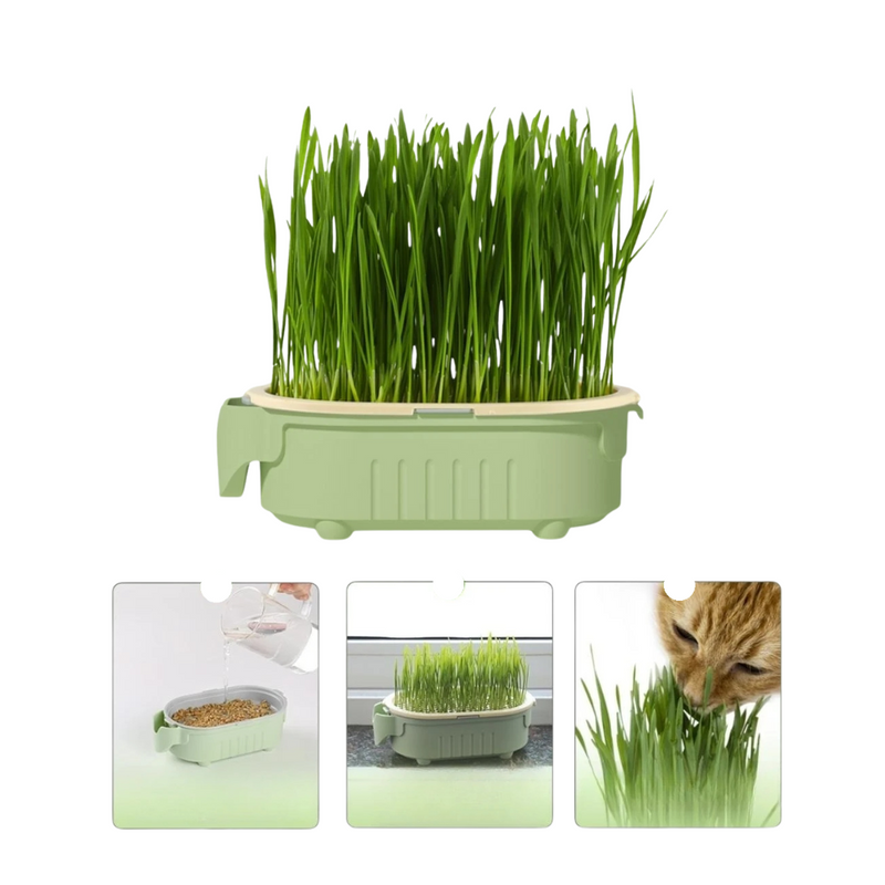 Vasinho de Cultivo Hidropônico para Gatos - Traga Verde e Alegria ao Seu Lar