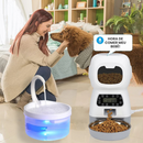 Alimentador Inteligente Automático para Cães e Gatos: Praticidade e Conforto na Alimentação Diária