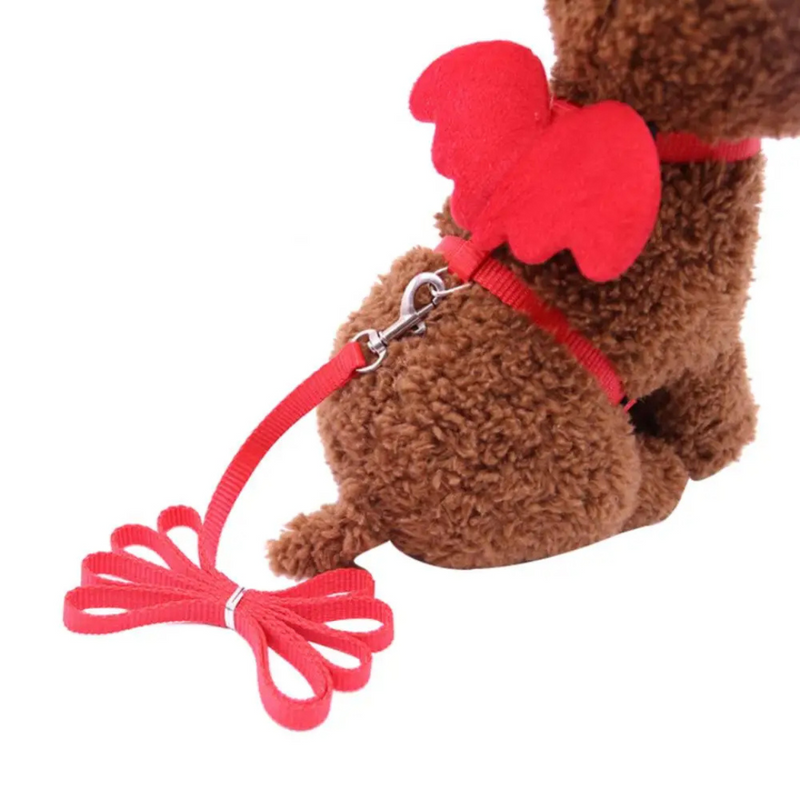 Peitoral Com Asas de Anjo e Guia para Gatos e Cães: Conforto E Estilo Para Seus Passeios