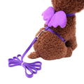 Peitoral Com Asas de Anjo e Guia para Gatos e Cães: Conforto E Estilo Para Seus Passeios