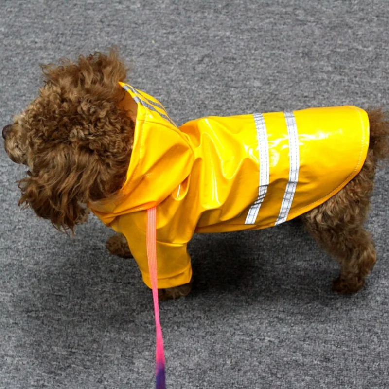 Capa de Chuva Pet com Capuz para Conforto e Proteção