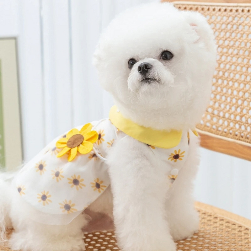 Vestido Princesa para Cachorros: Elegância e Conforto em Cada Passeio