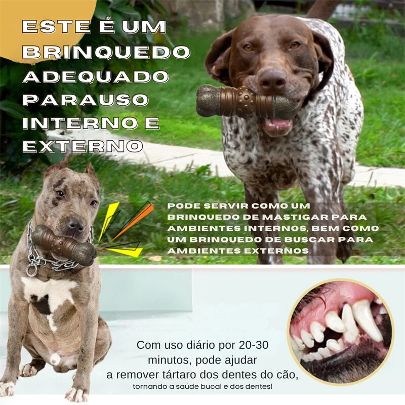 Mordedor Kong Durável para Cachorros – Diversão e Conforto em Cada Morde