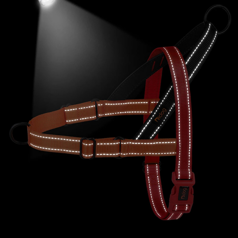 Coleira Peitoral Confortável para Cachorros com Duas Argolas de Guia