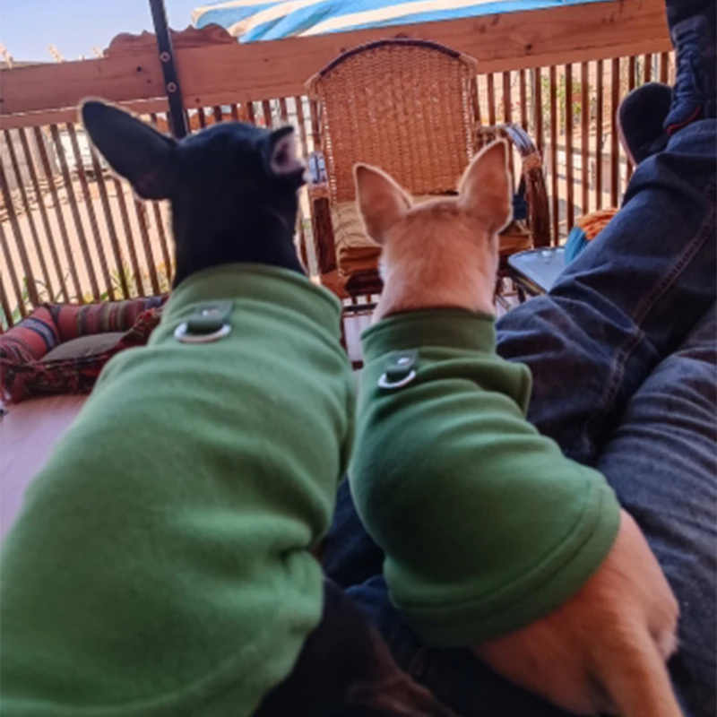 Suéter de Lã Confortável para Dachshunds e Pugs - Estilo e Aquecimento para Seu Melhor Amigo