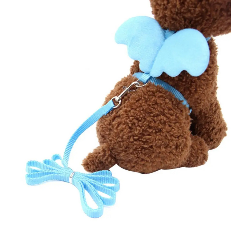 Peitoral Com Asas de Anjo e Guia para Gatos e Cães: Conforto E Estilo Para Seus Passeios