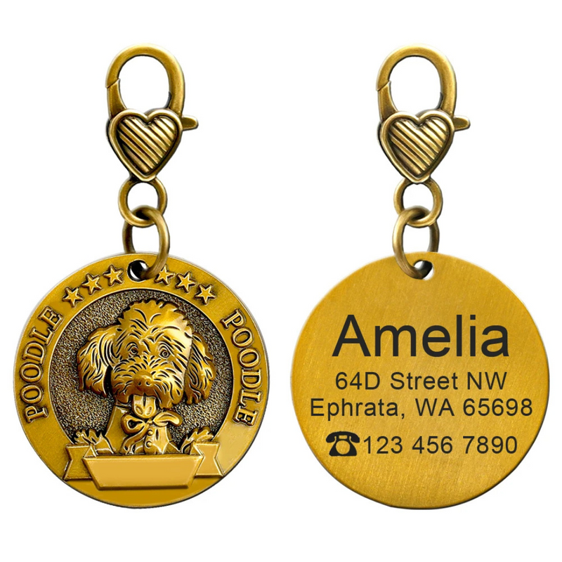 Pingente Medalhão Personalizado com Nome e Contato: Sua Identidade, Sempre à Mão