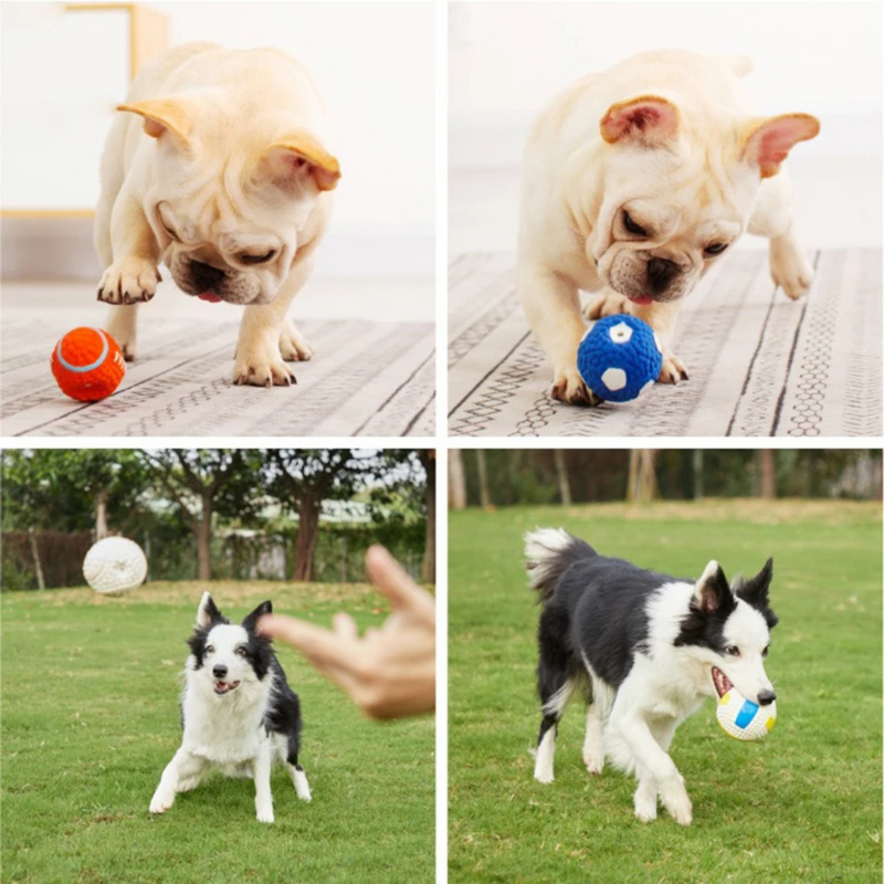 Bola Clinball Para Cachorros: Diversão e Resistência em Cada Lançamento
