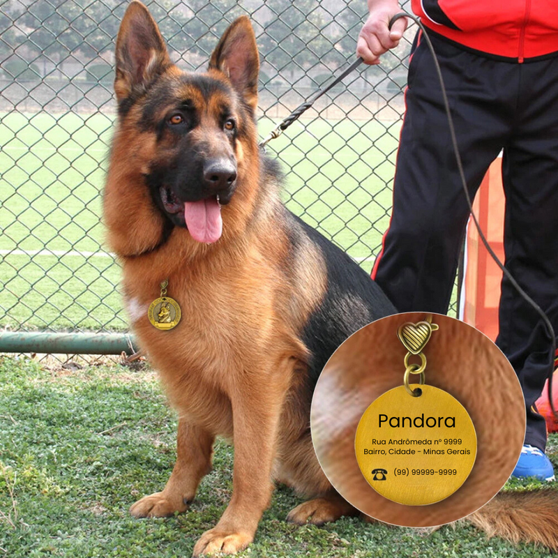 Pingente Medalhão Personalizado com Nome e Contato: Sua Identidade, Sempre à Mão