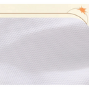 Calcinha Absorvente para Cadelinhas: Conforto e Praticidade Lavável e Reutilizável