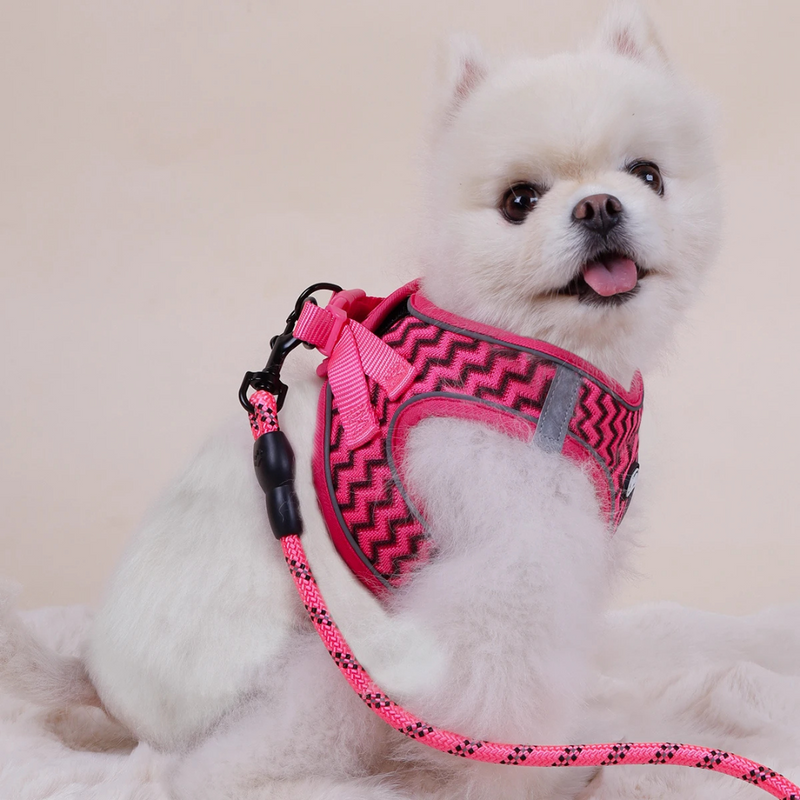 Coleira Peitoral Pink com Guia Reforçada: Conforto e Estilo para Seu Cachorro