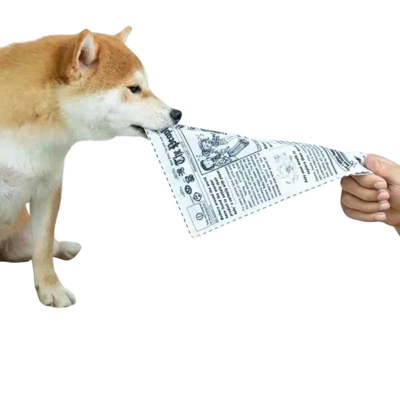 Brinquedo de Tecido Resistente para Pets: Diversão Segura e Duradoura