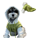 Casaco Moletom com Capuz para Cachorros: Conforto e Estilo em Cada Passeio