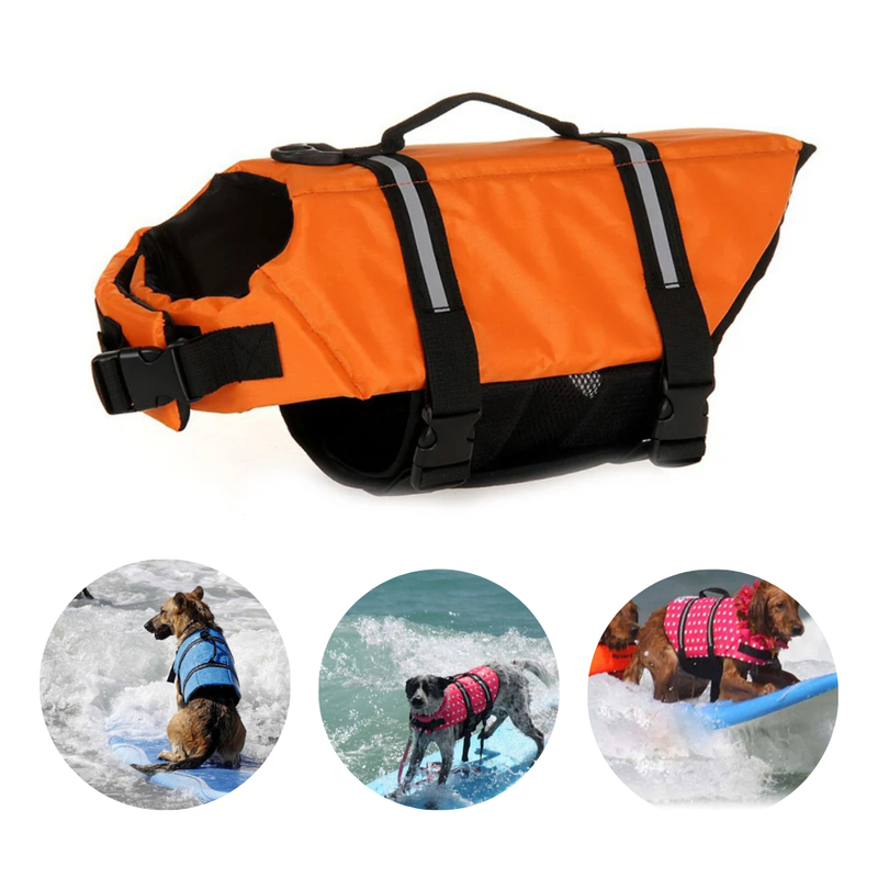 Colete Flutuante Para Cachorro: Proteção e Conforto na Natação