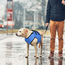 Sling Suporte para Cães em Reabilitação: Conforto e Mobilidade para Pets com Dificuldades de Locomoção