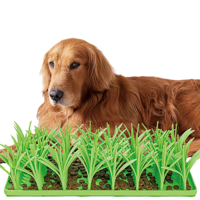 Tapete de Grama Silencioso para Cães: Um Refúgio Divertido para Aromatizar Petiscos