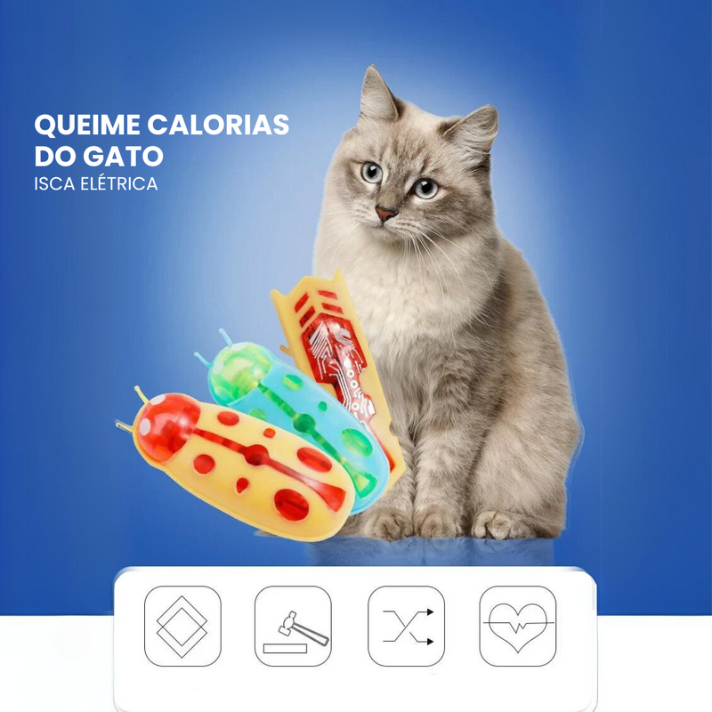 Brinquedo Interativo Elétrico para Gatos e Cães: Diversão Infinita com Insetos que Estimulam a Curiosidade