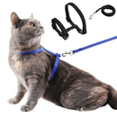 Coleira Peitoral Ajustável para Gato com Guia – Conforto e Liberdade para Passeios Seguros