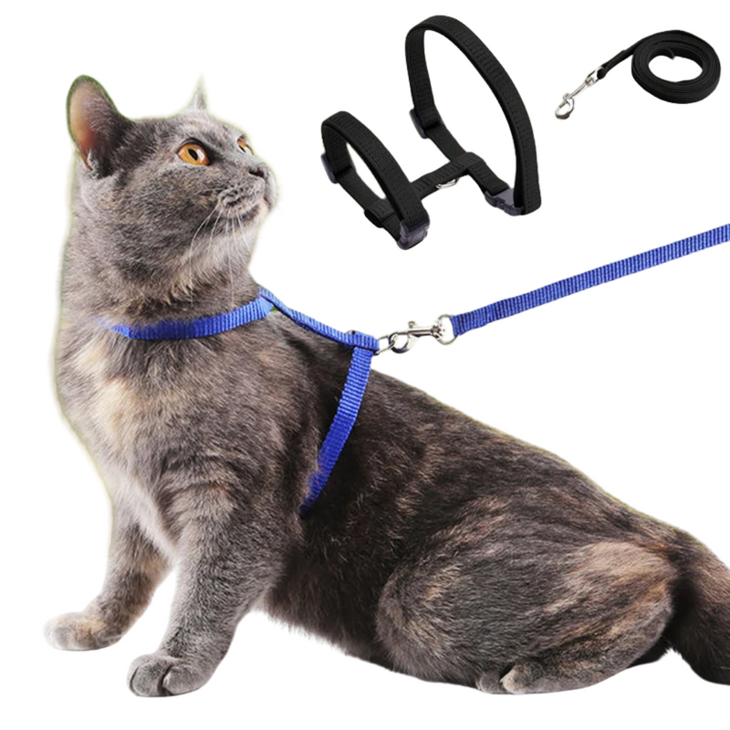 Coleira Peitoral Ajustável para Gato com Guia – Conforto e Liberdade para Passeios Seguros