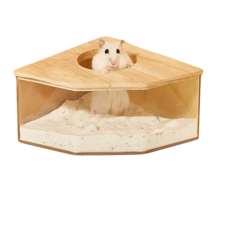 Banheira de Areia Confortável para Hamsters e Porquinhos da Índia - Transforme o Banho em Um Momento de Bem-Estar