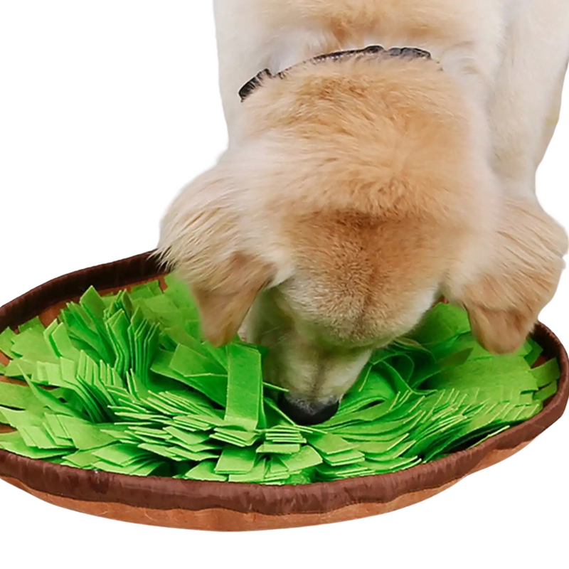 Tapete Interativo para Cachorros: Alimentação Divertida na Horta Fazendinha