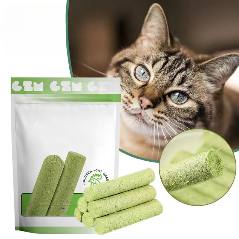 Bastão de Graminha Nutritivo para Alívio da Dentição de Gatos