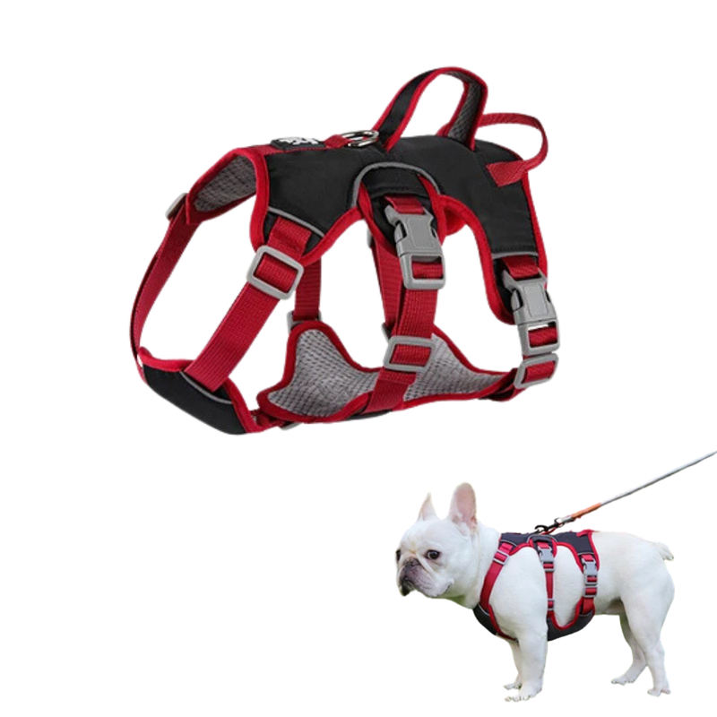 Coleira Peitoral Ajustável para Cachorros – Conforto e Segurança com Reflexividade em 6 Pontos