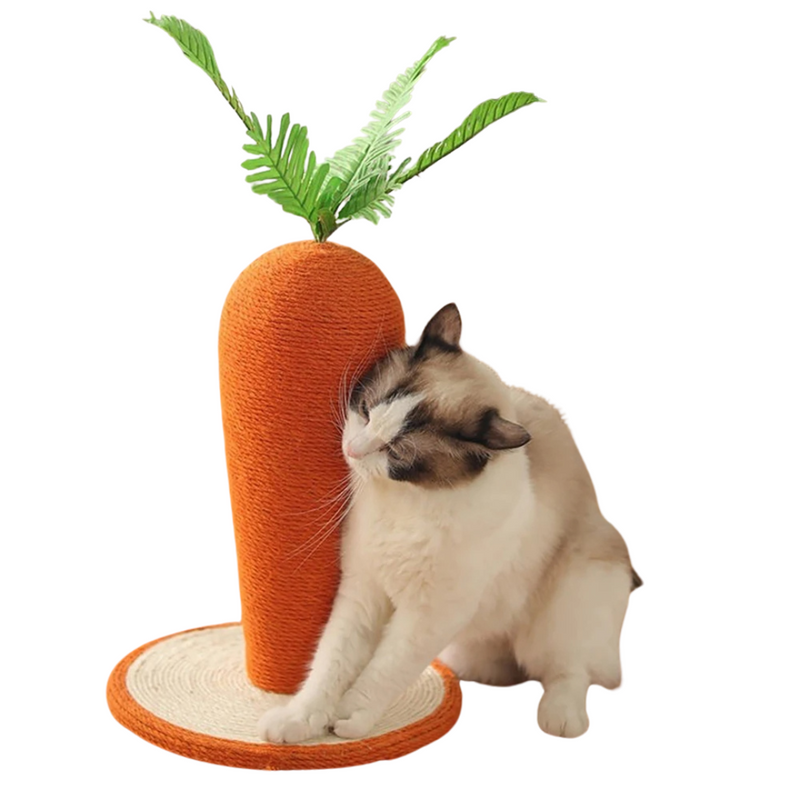 Arranhador de Cenoura para Gatos: Conforto e Diversão em Cada Arranhada