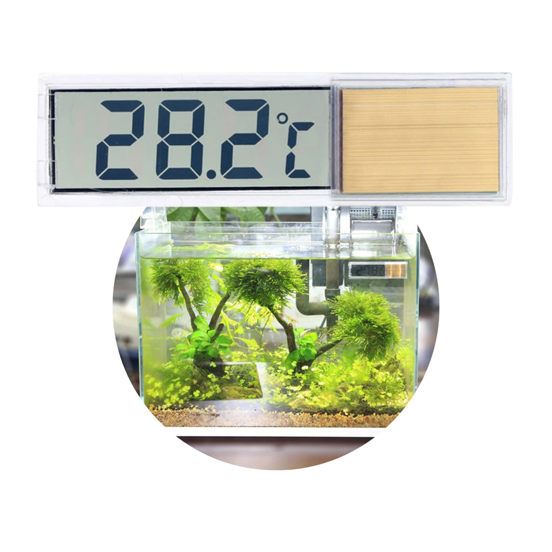 Término Digital para Aquário: Controle Preciso da Temperatura do Seu Peixe