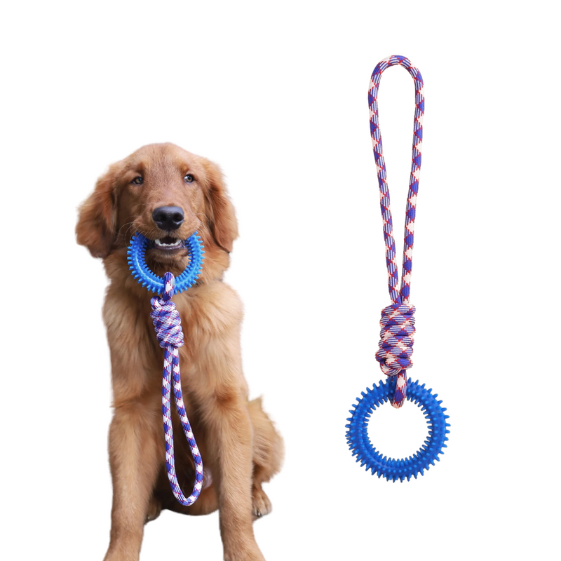 Mordedor Resistente com Corda e Argola para Cães: Cuidando da Dentição com Diversão