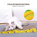 Arranhador Ondulado para Gatos: Conforto e Diversão em Cada Rasgadinha