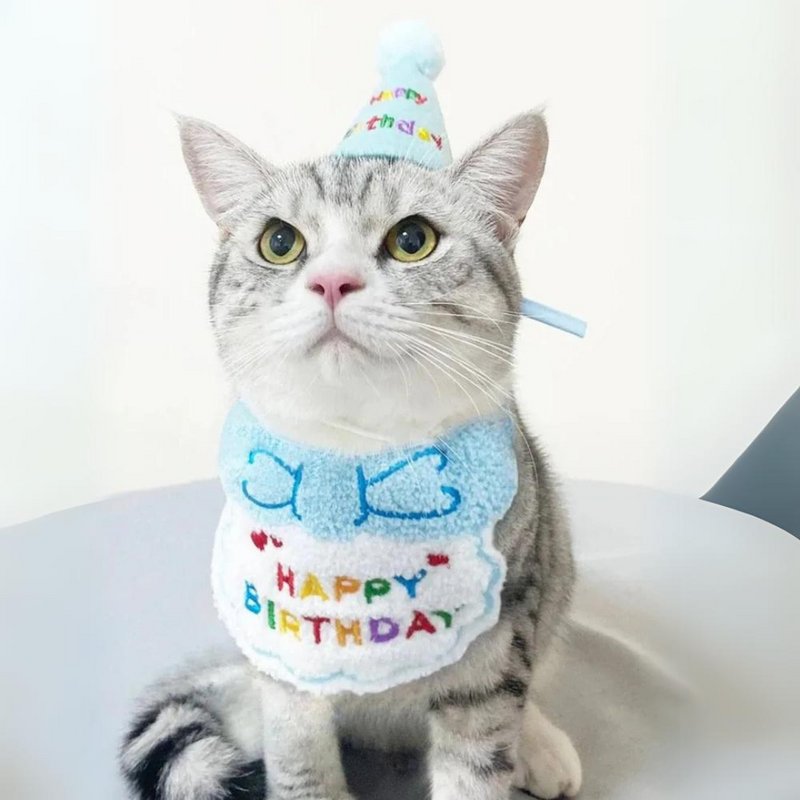 Conjunto de Chapéu e Babador para Aniversário de Cães e Gatos