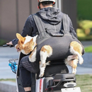 Sling Mochila Arnês para Transporte Seguro de Cães com Mobilidade Reduzida