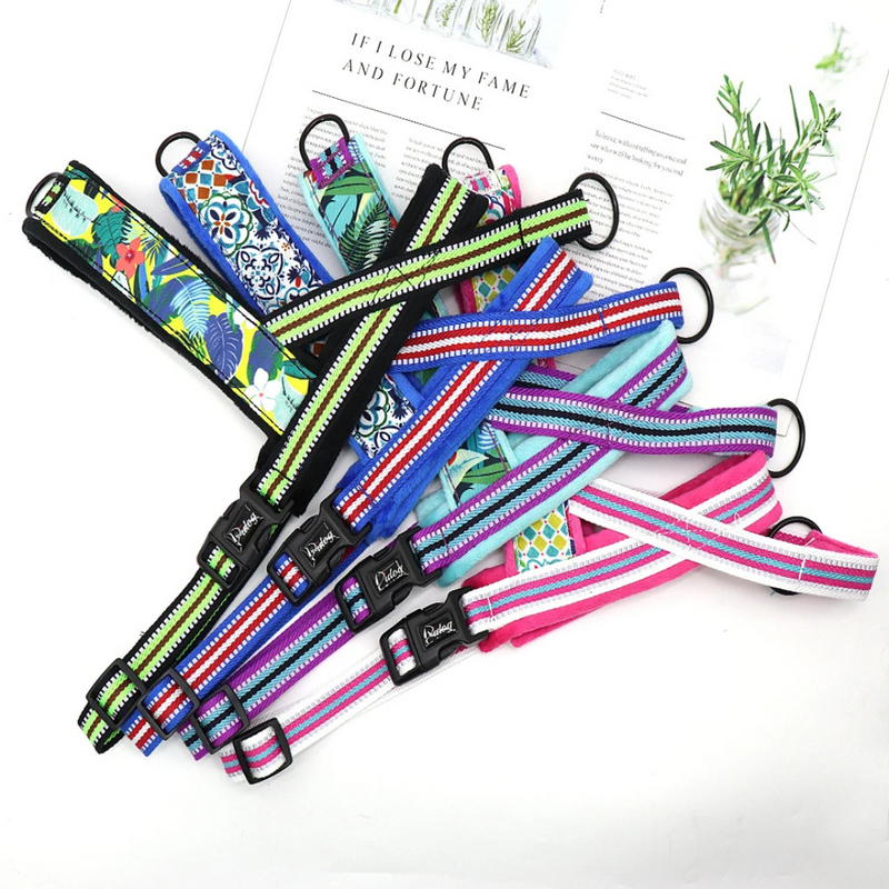 Coleira Peitoral Pidog: Conforto e Liberdade para Seu Cachorro