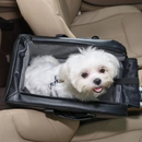 Cadeirinha de Couro para Cães: Conforto e Segurança em Viagens de Carro