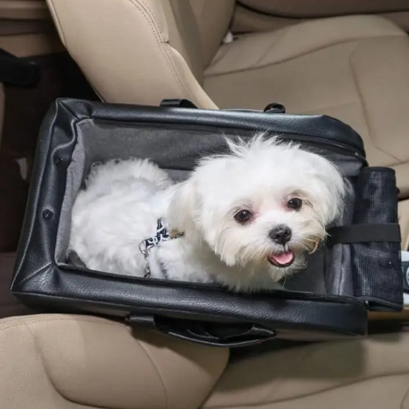Cadeirinha de Couro para Cães: Conforto e Segurança em Viagens de Carro