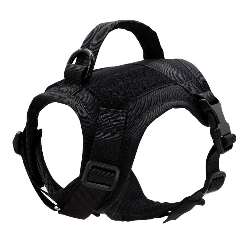 Arnês Tático para Gatos: Segurança e Liberdade em Cada Passeio