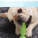 Mordedor de Escova de Dente para Pets - Conforto e Cuidado na Hora de Brincar