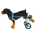 Cadeira de Rodas para Cachorros: Suporte Completo com 2 ou 4 Rodas para Liberdade e Conforto