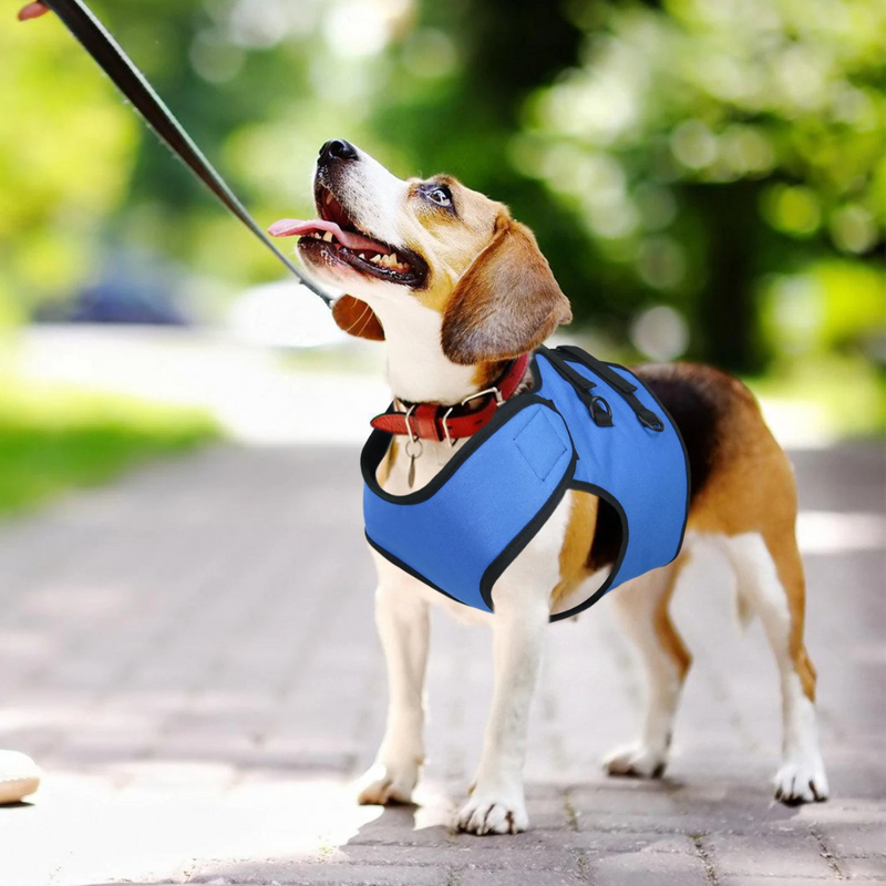 Sling Suporte para Cães em Reabilitação: Conforto e Mobilidade para Pets com Dificuldades de Locomoção