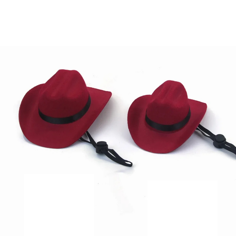 Chapéu Estilo Cowboy para Cachorros e Gatos: Conforto e Diversão em Cada Aventura