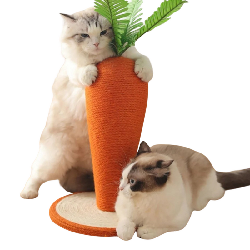 Arranhador de Cenoura para Gatos: Conforto e Diversão em Cada Arranhada