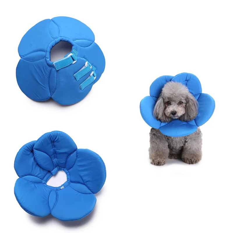 Colar Confortável Pós Cirurgia para Pets