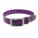 Coleira Fashion para Pets: Praticidade e Estilo em Cada Passeio